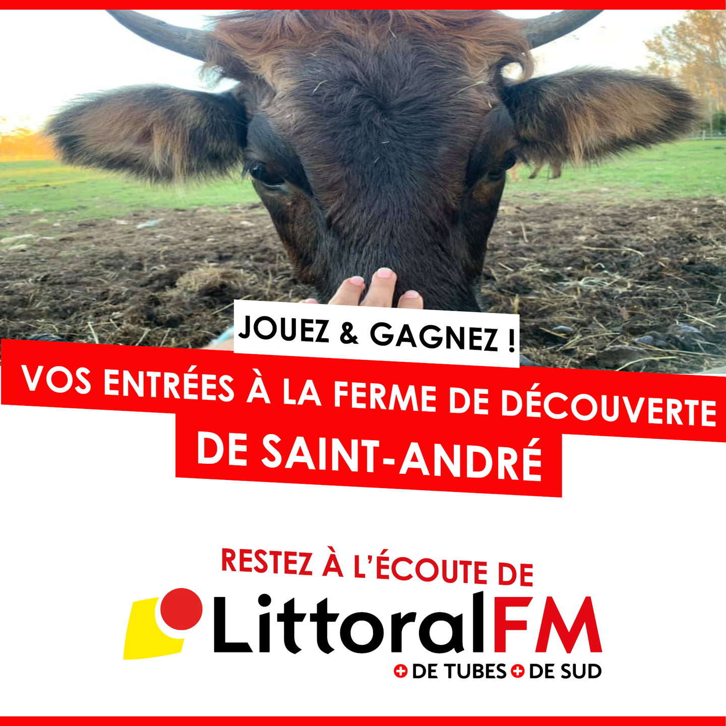 ferme decouverte
